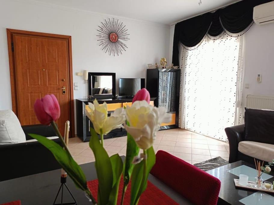 Layla Home Alexandrpoupolis 알렉산드로폴리스 외부 사진